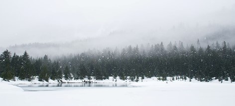 HIVER : vivre en harmonie avec la nature selon la Médecine Chinoise, la saison de l’introspection.