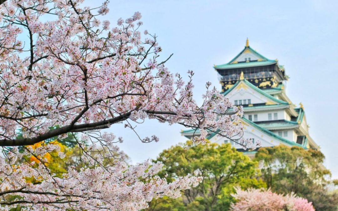 S’aligner à la saison du Printemps en Médecine Traditionnelle Chinoise