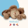 French Mush - Complexe 5 Champignons – Image 7