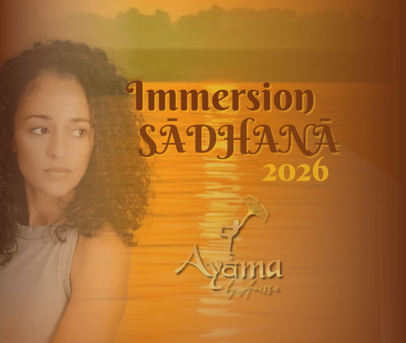 Immersion Yoga Inde (1)