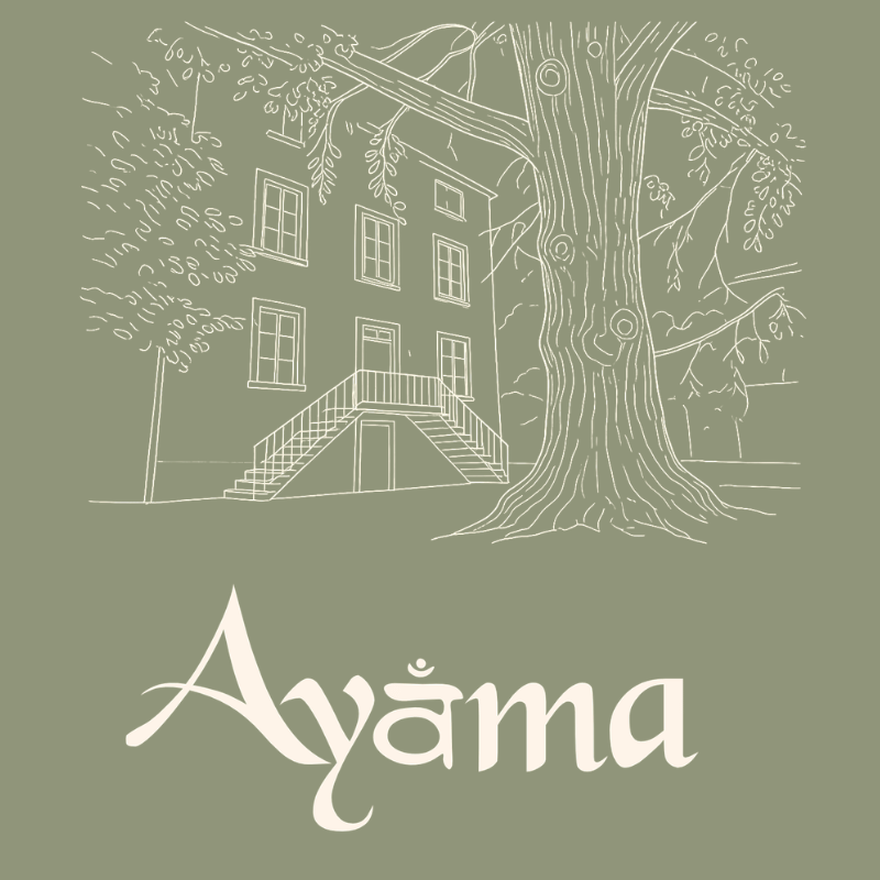 Yoga Pilates Macon