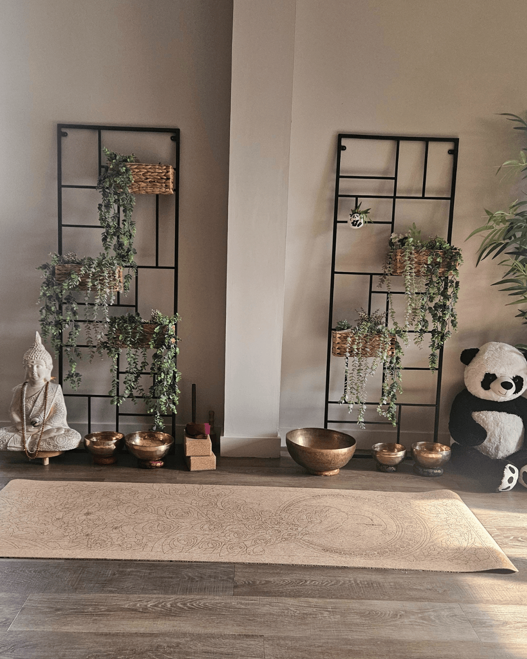 Cours de Yoga Mâcon