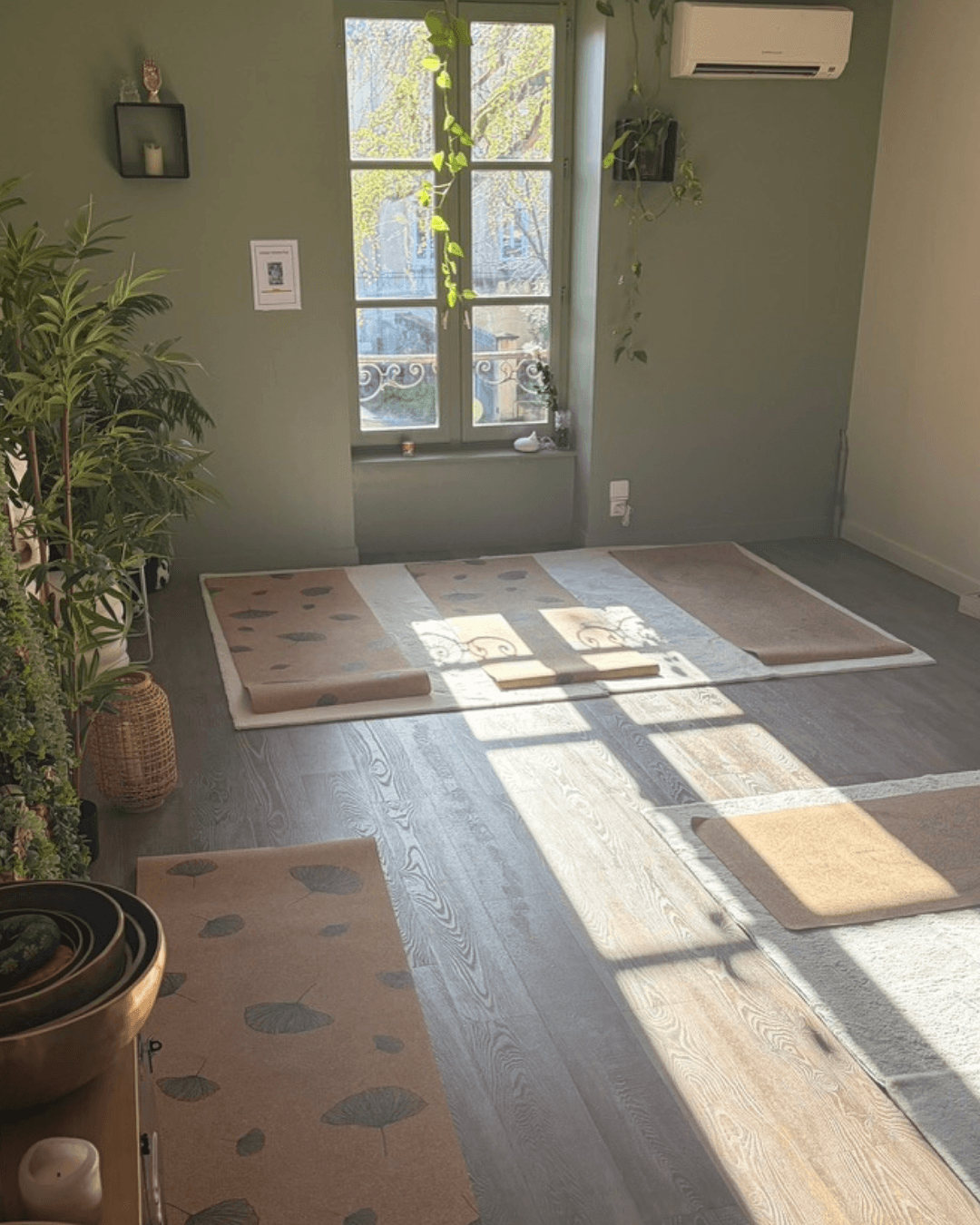 Mâcon Cours de Yoga